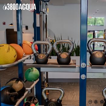 Fitness center with free weights
